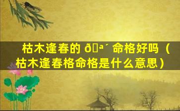枯木逢春的 🪴 命格好吗（枯木逢春格命格是什么意思）